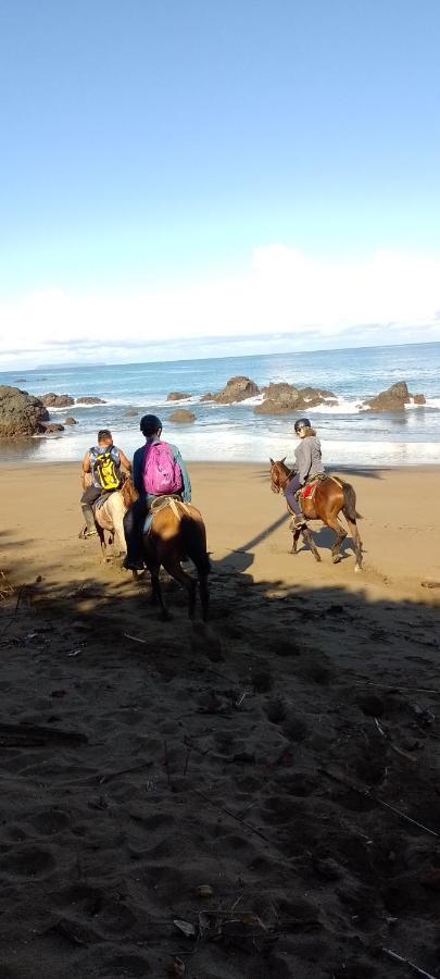 Cabins Yafeth Osa Drakes Bay المظهر الخارجي الصورة